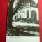 Ilustrata Tarnaveni - Caminul de zi al Fabricii de geamuri , circulat 1959