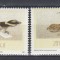 Zimbabwe 1989 - REPTILE - MNH