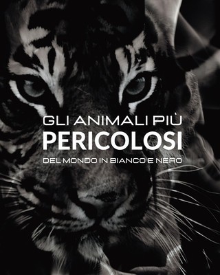 Gli animali pi foto