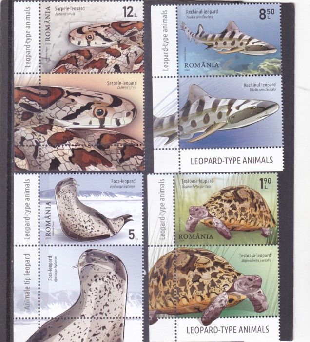 ROMANIA 2020 - ANIMALE DE TIP LEOPARD, MNH - LP 2290 CU VINIETA