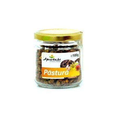 Pastura 100gr Api Vitalis foto