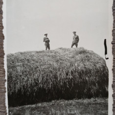 Militari romani pe o capita de fan, perioada interbelica// fotografie