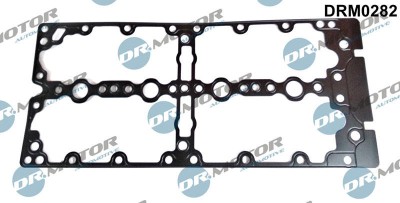 Garnitura, Capac Supape 307716 DRM0282 foto