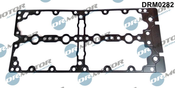 Garnitura, Capac Supape 307716 DRM0282