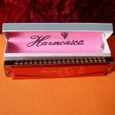 MUZICUTA BLESSING HARMONICA