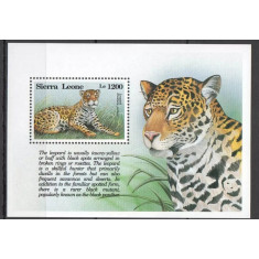 Sierra Leone 1993 - Fauna, leopard, colita neuzata