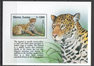 Sierra Leone 1993 - Fauna, leopard, colita neuzata foto