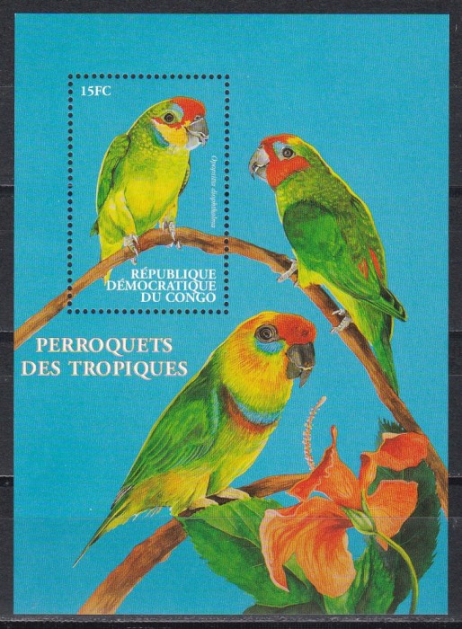 Congo RD 2000 - Papagali, Colita, MNH