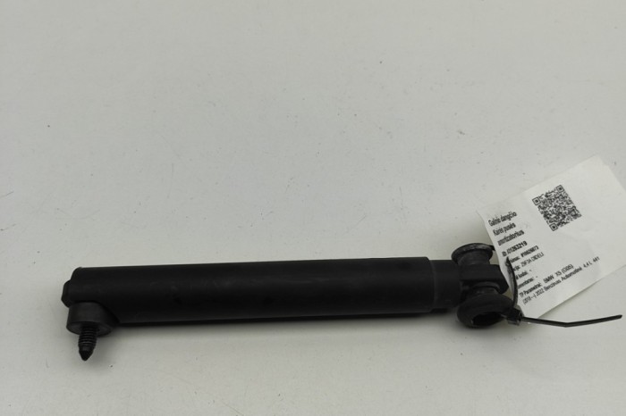 Amortizor haion st&acirc;nga BMW X5 G05 2022 OEM: 7473097 31263219