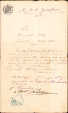 HST A236 Copie legalizată de epocă 1873 numire inginer județean