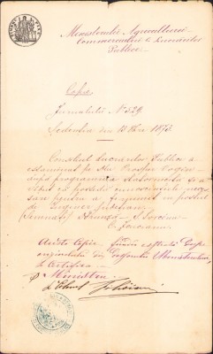 HST A236 Copie legalizată de epocă 1873 numire inginer județean foto
