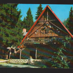 CPIB 21494 - CARTE POSTALA - POIANA BRASOV. CABANA COLIBA HAIDUCILOR