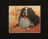 Plic Prima Zi FDC ONU Viena 2001 Specii Amenințate Urs cu Ochelari Rață Lupișor Aardwolf Langur Argintiu Bloc 4 Timbre - A992