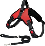 Set de ham si lesa reflectorizante pentru caini Molshine, tesatura oxford/nailon, rosu/negru, marimea L