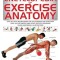 Encyclopedia of Exercise Anatomy
