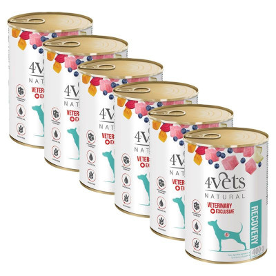 4Vets Natural Veterinary Exclusive RECOVERY 6 x 400 g foto
