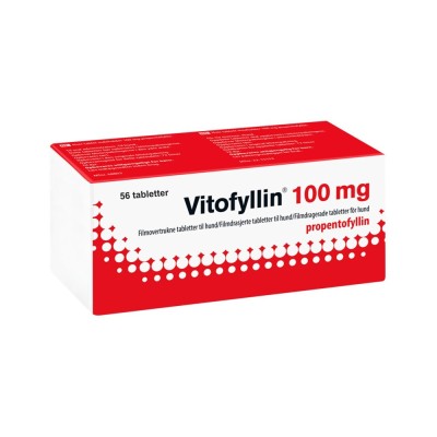VITOFYLLIN 100MG COMPRIMATE PENTRU CAINI 56TB CUT foto