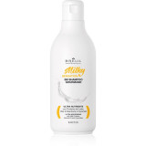 Brelil Professional Milky Sensation BB Shampoo șampon pentru regenerarea părului slab și deteriorat 250 ml
