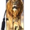 Royce 3D Bookmark - Lion