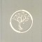 INSURGENT-VERONICA ROTH-272865