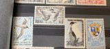 Teritoriul Sudic si Antarctic Francez (TAAF) 1959 Fauna Antarctica/ Pasari, serie MNH, 4v