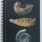 FOSSIL DETECTIVES , FIELD GUIDE by PETER SHELDON , 2008