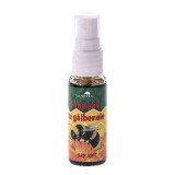 SPRAY PROPOLIS+GALBENELE 25ML