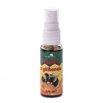 SPRAY PROPOLIS+GALBENELE 25ML foto