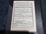 Program cuplaj Romania B - RFG B si Sel Banatului - sel. Vojvodina