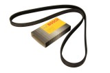 Curea transmisie cu caneluri VOLVO XC90 I (2002 - 2016) BOSCH 1 987 948 435