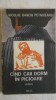 Nicolae Danciu Petniceanu - Cand / Cind caii dorm in picioare, 1987