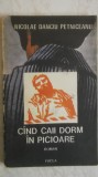 Nicolae Danciu Petniceanu - Cand / Cind caii dorm in picioare, 1987