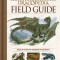 Dracopedia Field Guide: Dragons of the World from Amphipteridae Through Wyvernae