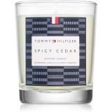 Tommy Hilfiger Home Collection Spicy Cedar lumanare 180 g