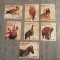 GUINE-BISSAU 1988- ANIMALE SĂLBATICE 7 VALORI NESTAMPILAT MNH