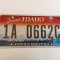 Idaho Inmatriculare USA original, decor de perete