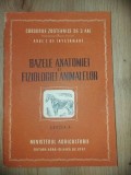 Bazele anatomiei si fiziologiei animalelor Anul 1 de invatamant