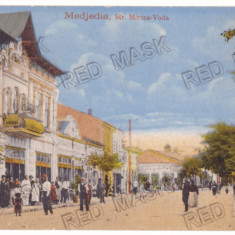 3439 - MEDGIDIA, Dobrogea, street stores, Romania - old postcard - unused