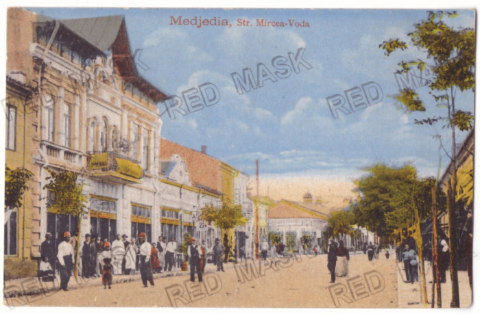 3439 - MEDGIDIA, Dobrogea, street stores, Romania - old postcard - unused