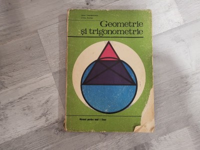 Geometrie si trigonometrie.Manual pentru anul I licee de Laura Constantinescu,Cristu Petrisor foto