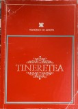 Tineretea - Francesco De Sanctis - Roman, Editura Didactica si Pedagogica, 1970, 209 pagini