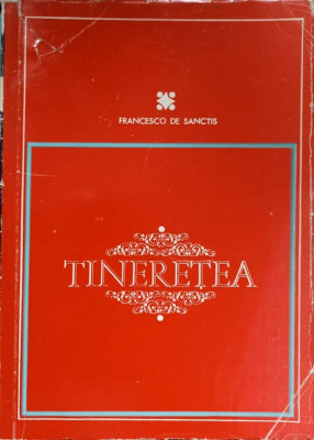 TINERETEA-FRANCESCO DE SANCTIS foto