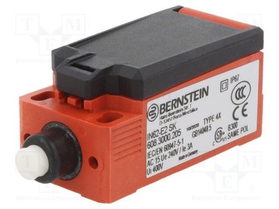Limitator cursă BERNSTEIN AG NO x2 5A 240VAC 24VDC M20 IP66 foto