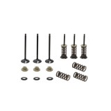 Set complet supape admisie Yamaha YZF 250 01- 13, GasGas EC 250F 10-15, 300F 13-15