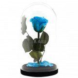 Cumpara ieftin Trandafir Criogenat XL bleu &Oslash;6,5cm in cupola 12x25cm