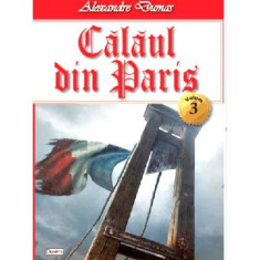 Călăul din Paris Vol.3 - Paperback brosat - Alexandre Dumas - Dexon