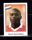 B10 - Sticker fotbal - Campionatul mondial USA - 1994 - nr 397