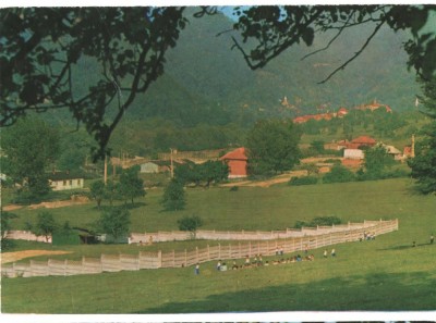 CPI B 11532 CARTE POSTALA - NUCET foto