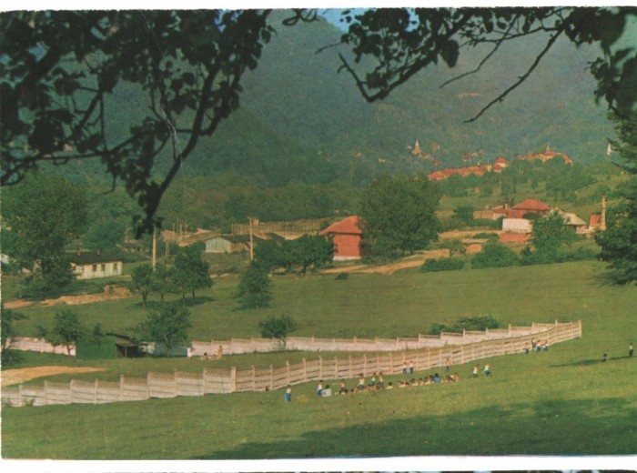 CPI B 11532 CARTE POSTALA - NUCET
