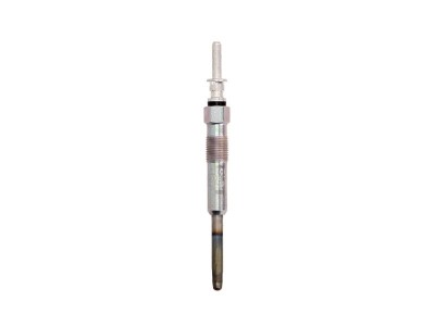Bujie incandescenta LAND ROVER RANGE ROVER III (LM) (2002 - 2012) BOSCH 0 250 212 013 foto